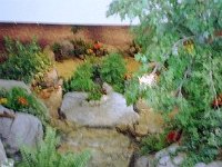 photos 2000-200900428
